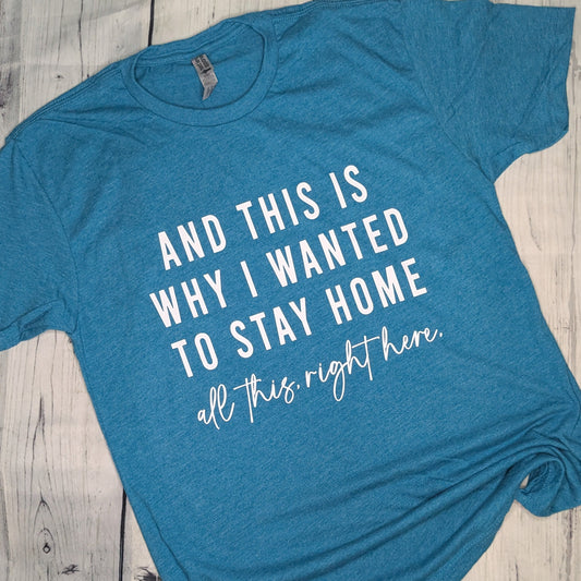 This is Why I Wanted to Stay Home