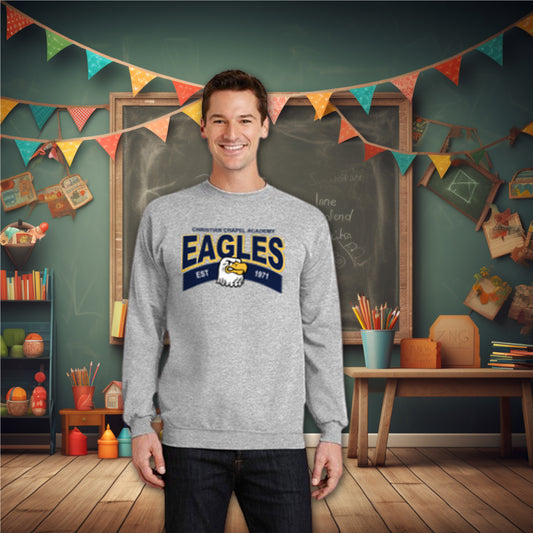 Old School Eagles Hoodie/Crewneck